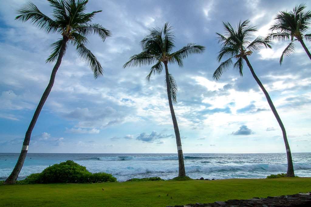 Kona Reef Hotel Kailua-Kona Phòng bức ảnh